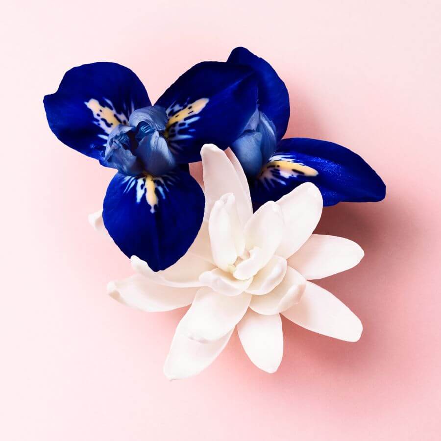 My Way Le Parfum Refill