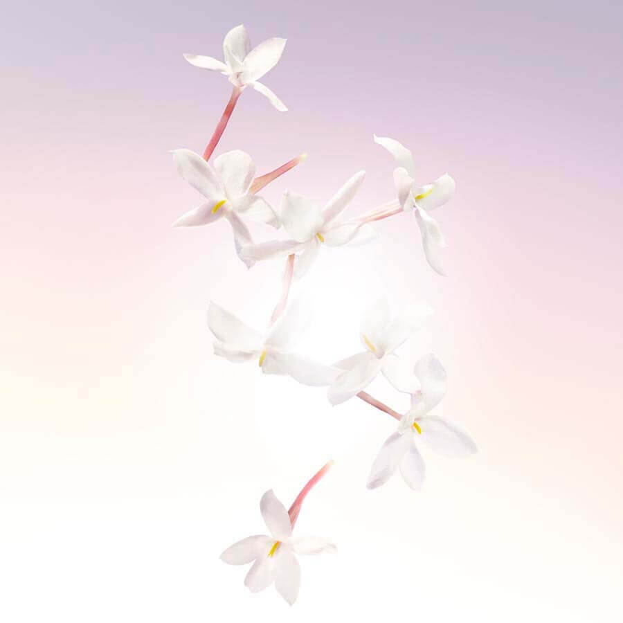 Idôle Eau de Parfum