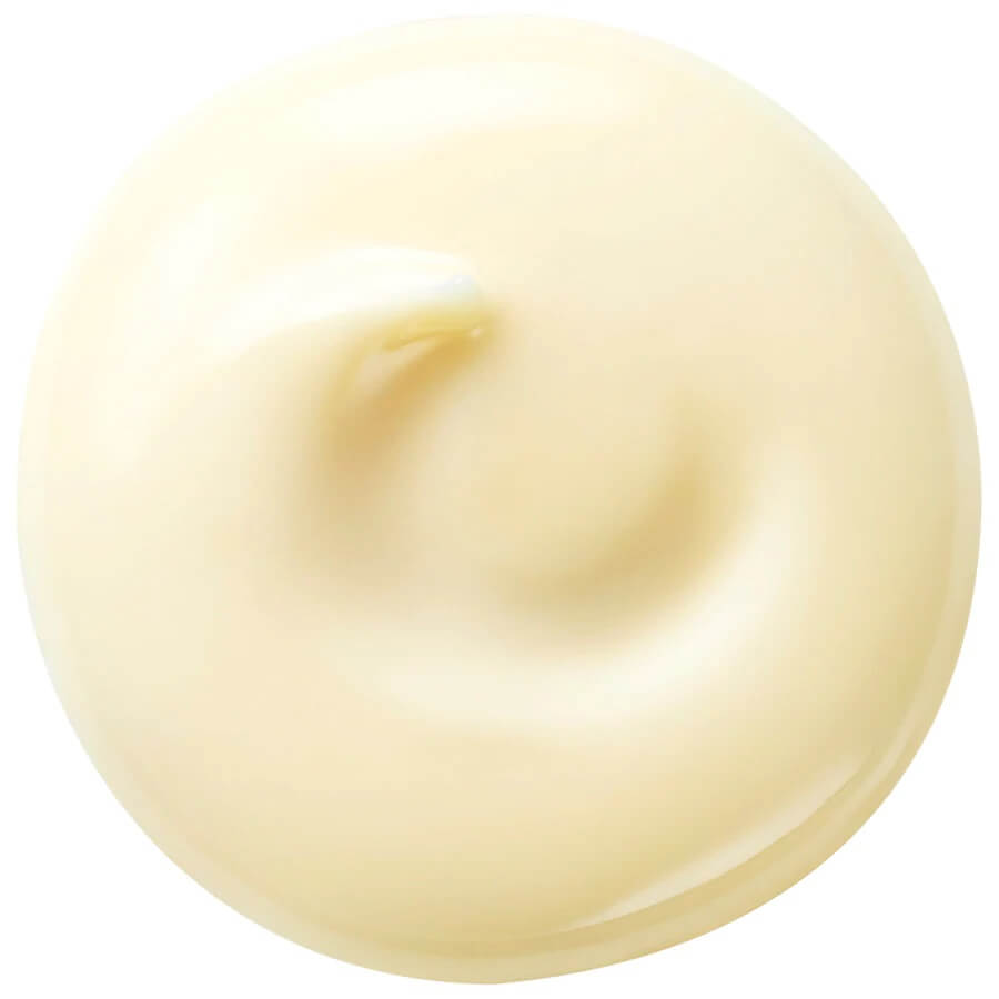 Benefiance Wrinkle Smoothing Day Cream SPF 25