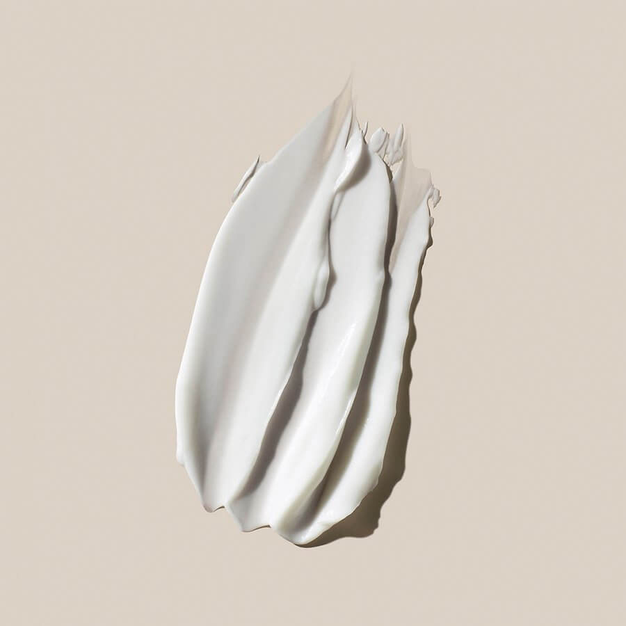 Essential Day Moisturizer Normal Dry