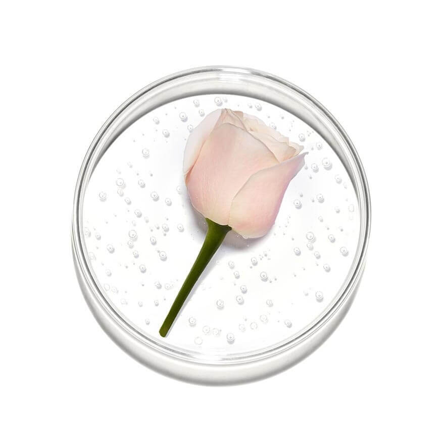 Rose Sugar Scrub