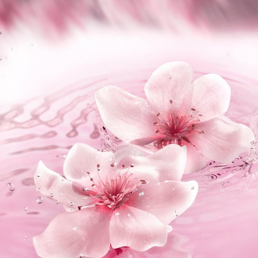 Dream Dusk Eau de Parfum