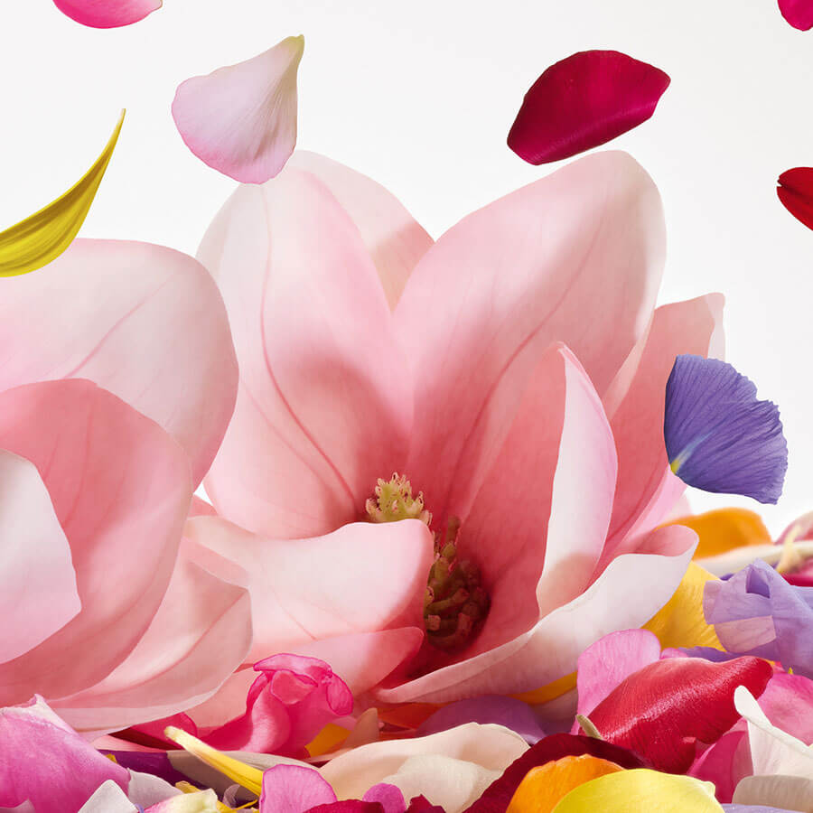 Dolce Magnolia Eau de Parfum