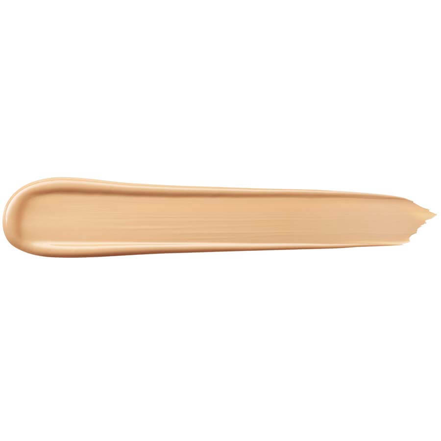 Teint Idole Ultra Wear All Over Concealer