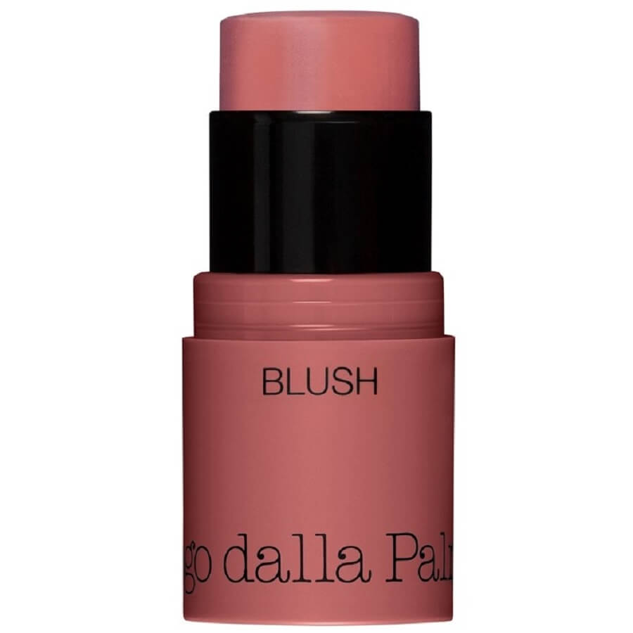All In One Blush