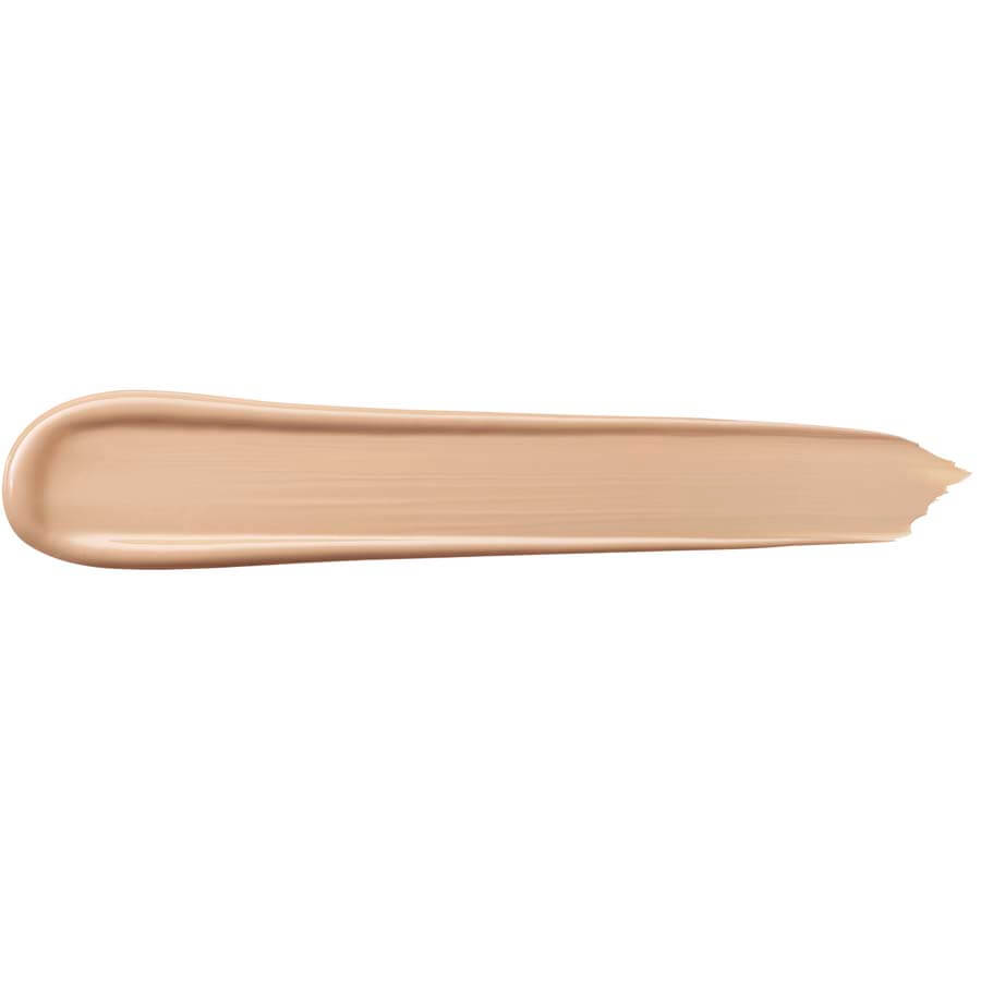 Teint Idole Ultra Wear All Over Concealer