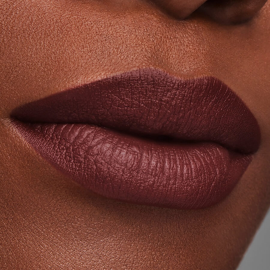 Pure Color Matte Lipstick