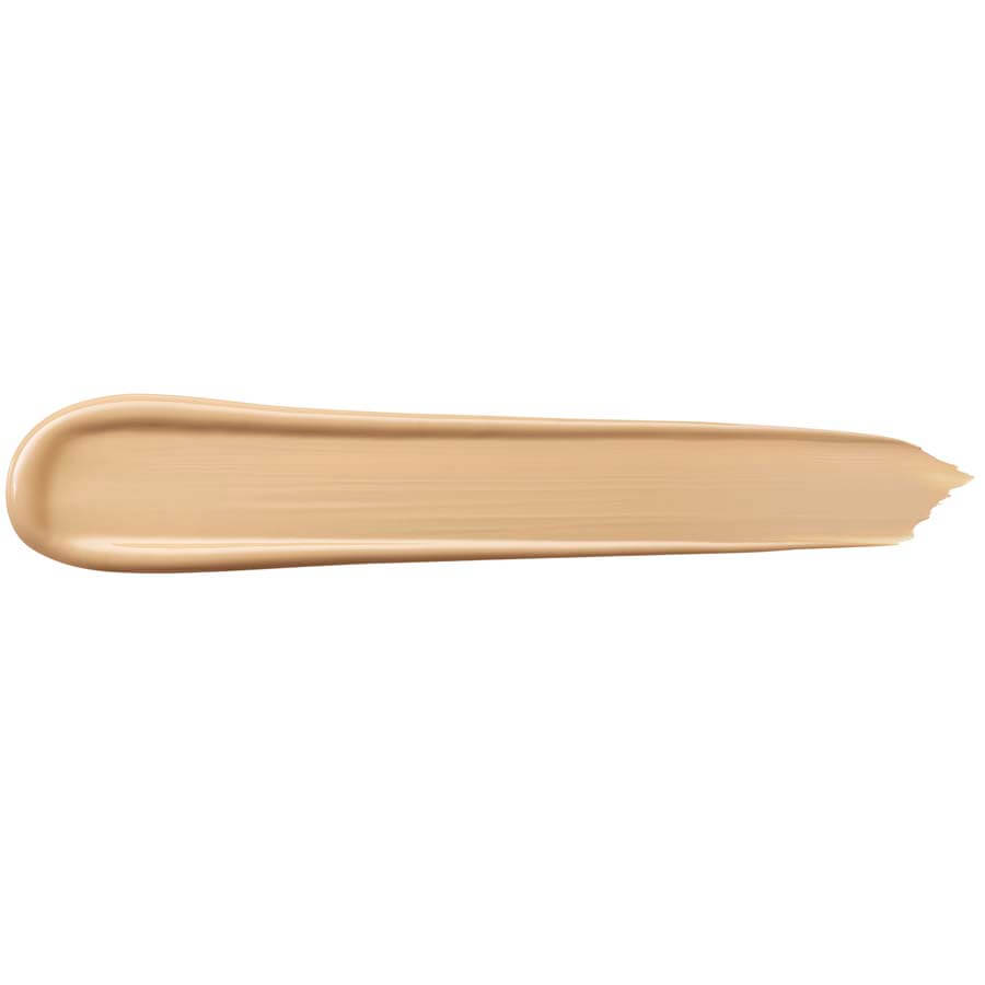 Teint Idole Ultra Wear All Over Concealer