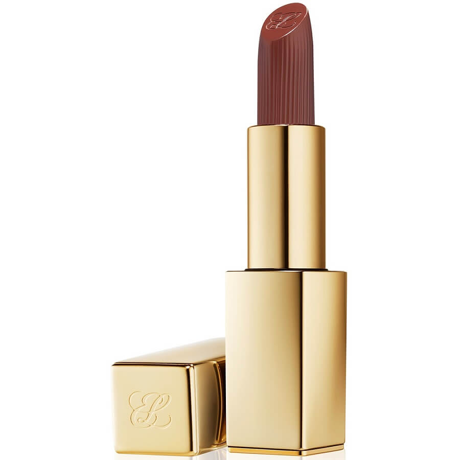Pure Color Matte Lipstick
