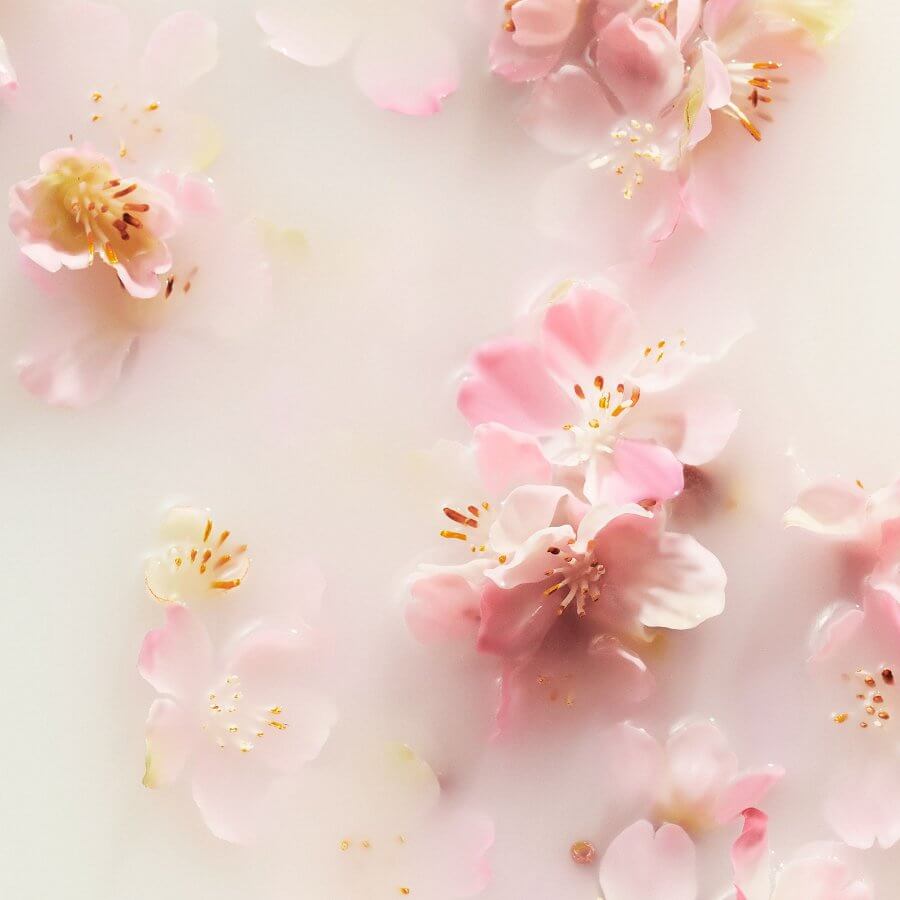 The Ritual of Sakura Hair & Body Mist