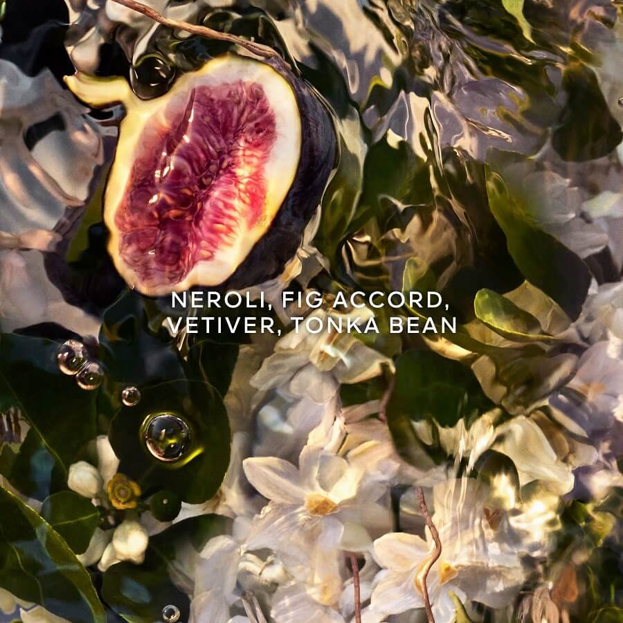 Aqua Allegoria Nerolia Vetiver Forte Eau de Parfum