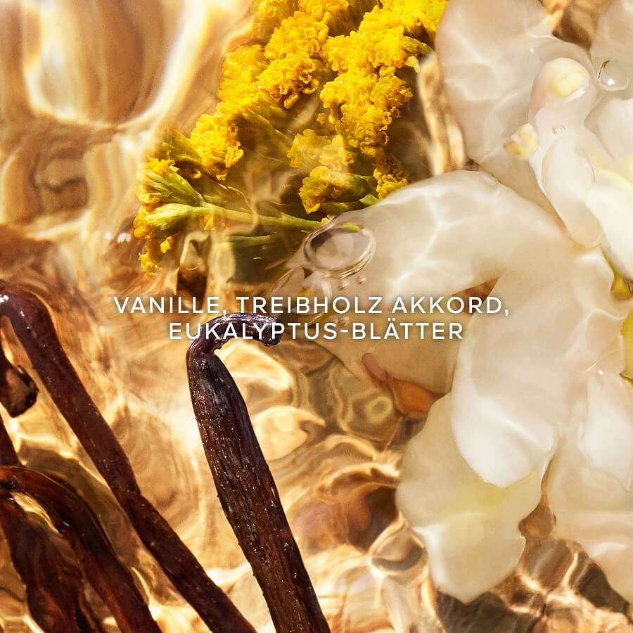 Aqua Allegoria Woody Bosca Vanilla Forte Eau de Parfum