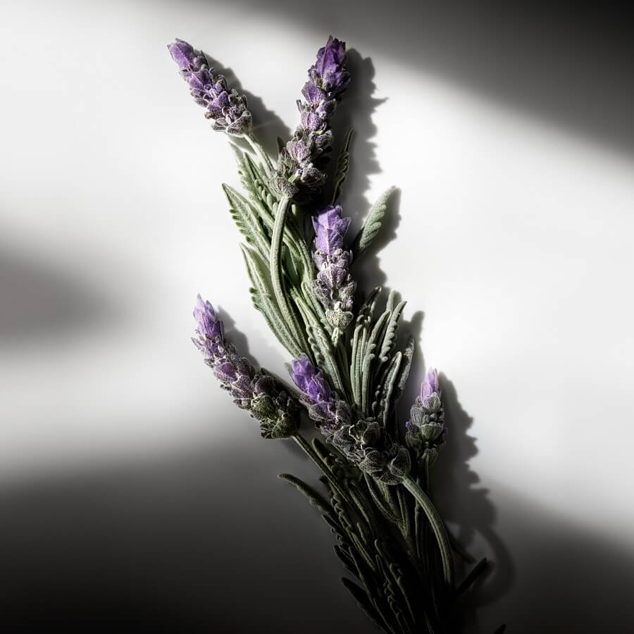 Eau de Parfum