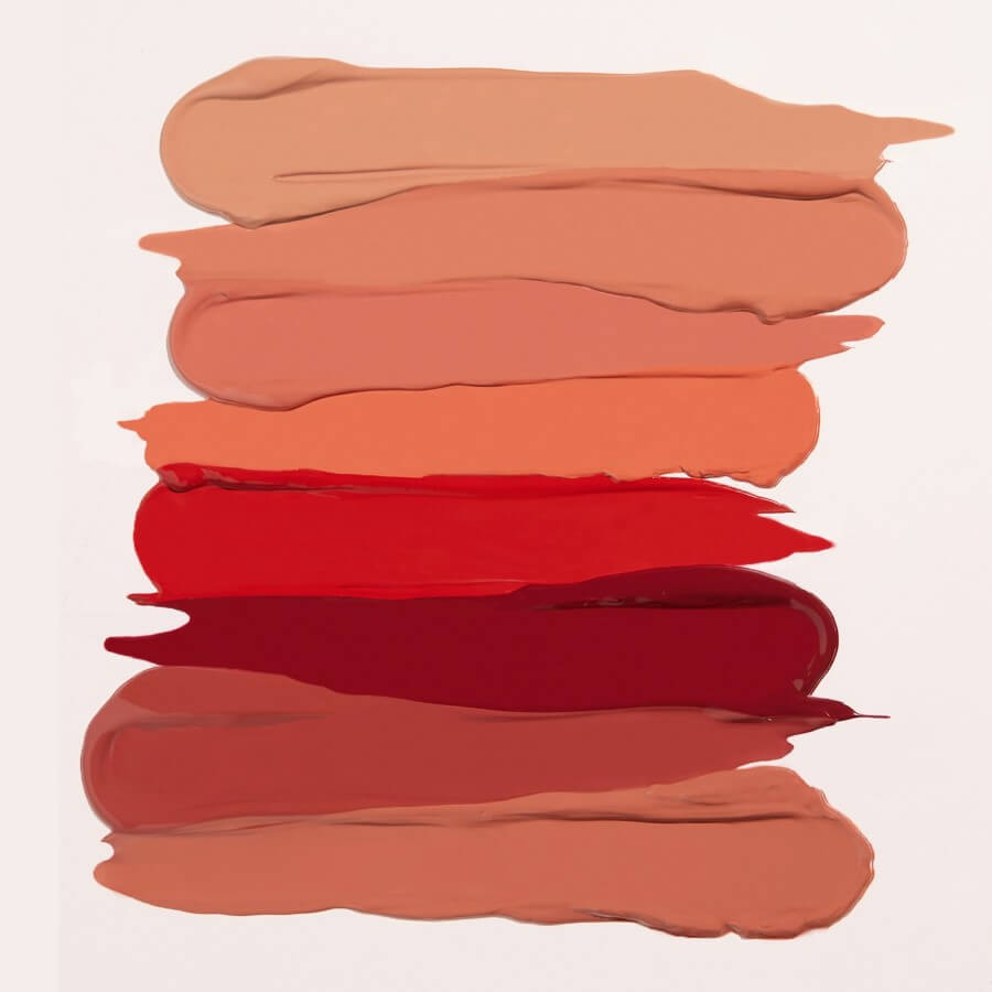 Sensuous Matte Lip Suit