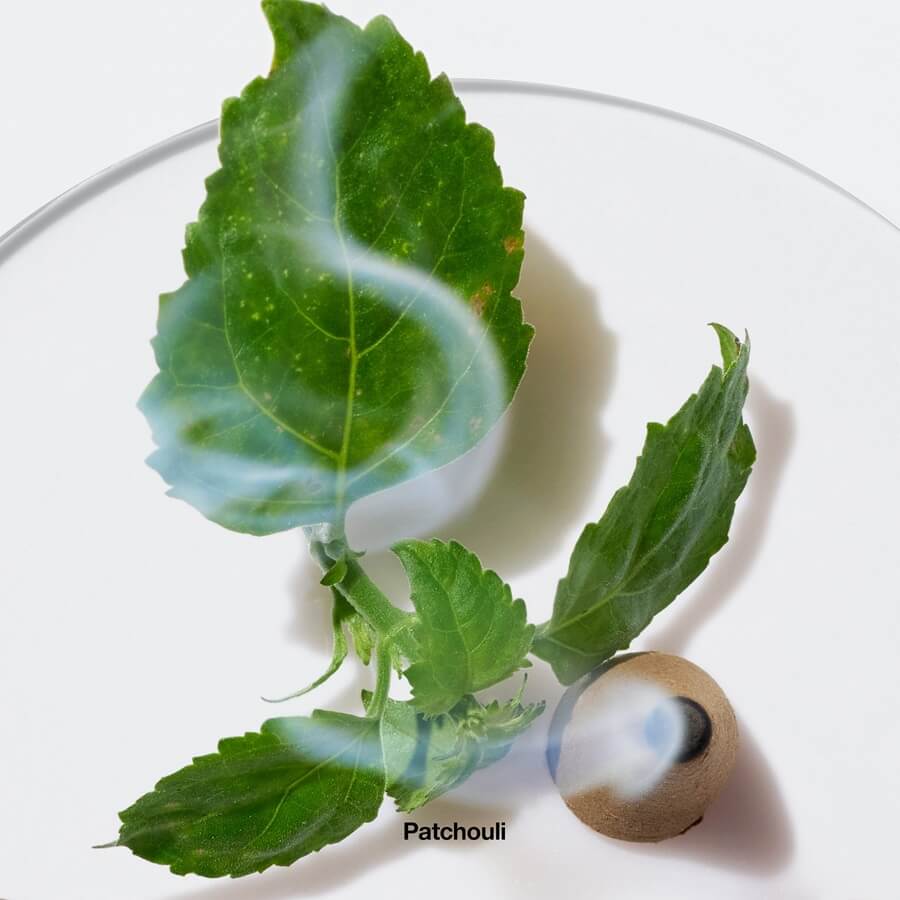 Aromatics Elixir Eau de Parfum