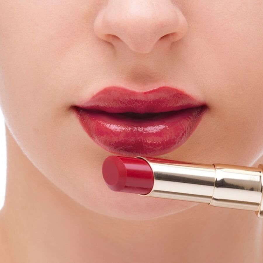 Lasting Plump Lipstick