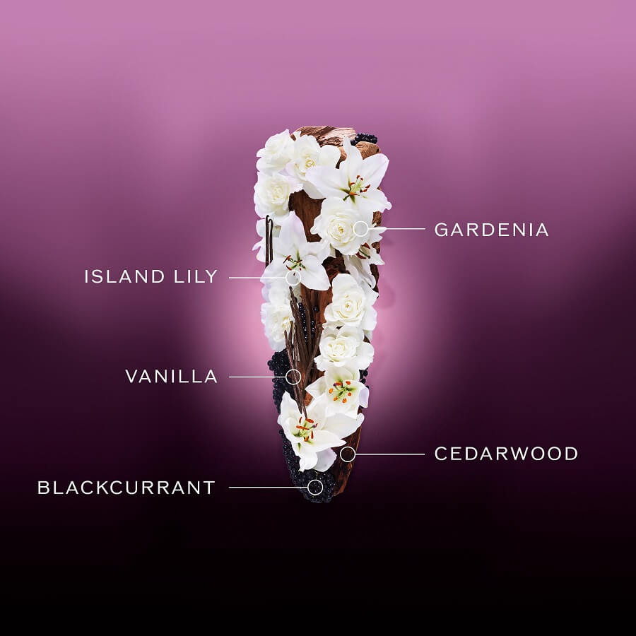 Ginza Night Eau de Parfum Intense