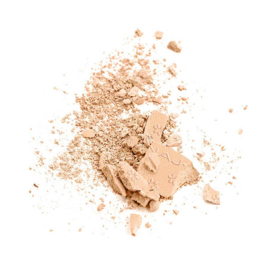 Silk Feel Wet & Dry Powder Foundation