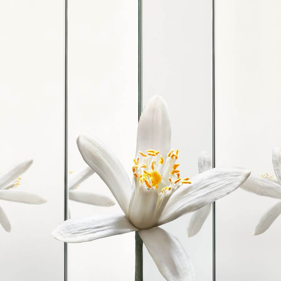 MYSLF Eau de Parfum