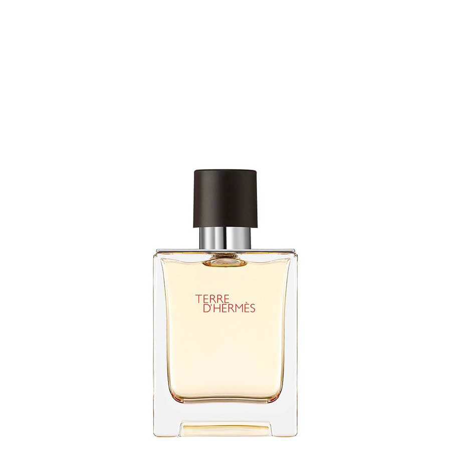 Terre D'Hermès Eau de Toilette