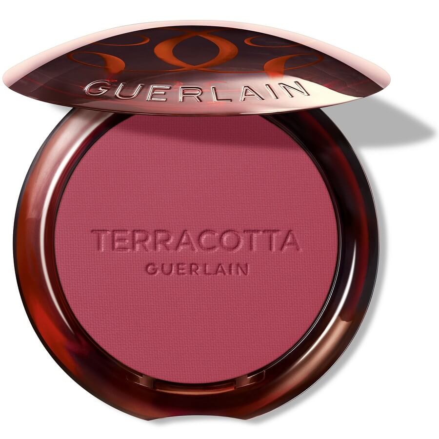 Terracotta Blush The Healthy Glow Powder Blush