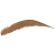 Medium Brown