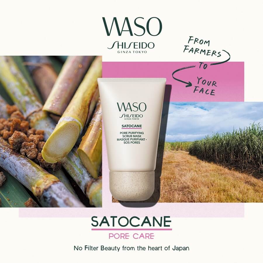 Satocane Pore Purifying Scrub Mask