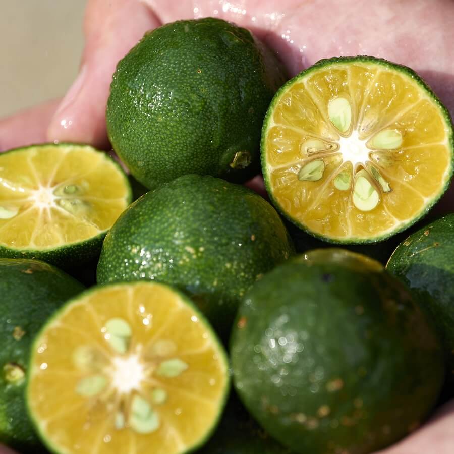 Shikulime Gel to Oil Cleanser