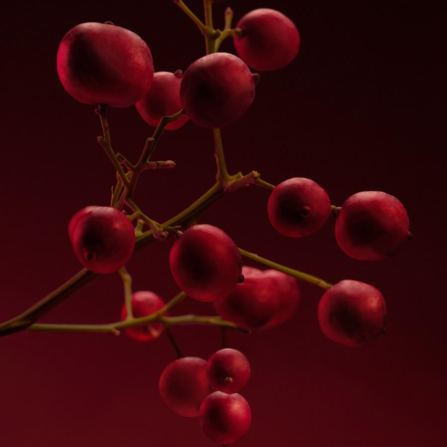 The Scent Elixir Her
