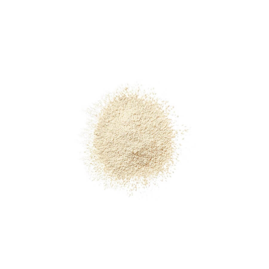 Blend Face Loose Powder&Brush