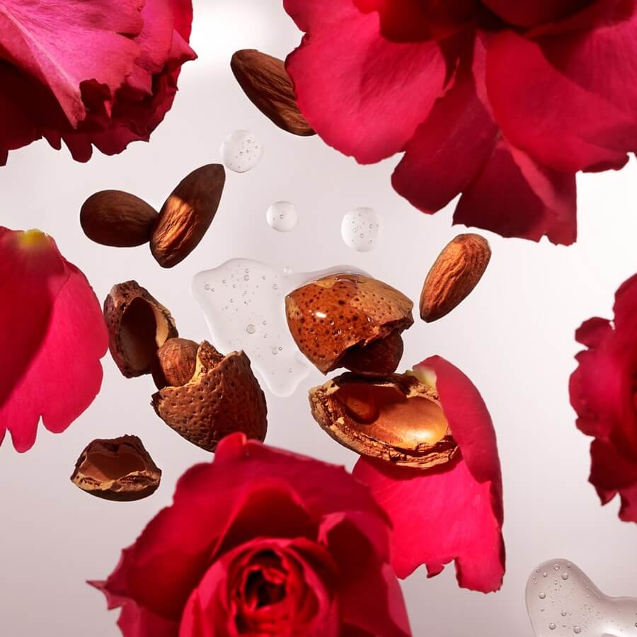 The Ritual of Ayurveda Hand Wash Refill