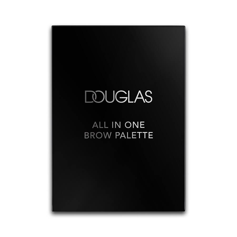 All In One Brow Palette