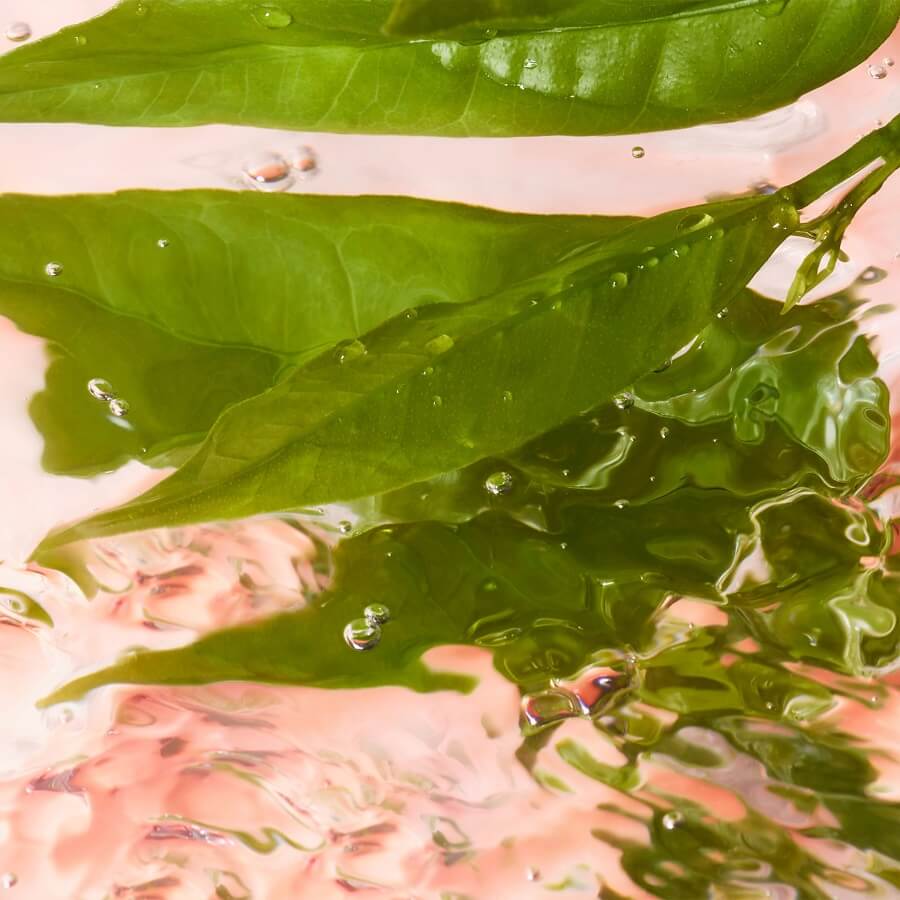 Idôle L'Eau De Toilette