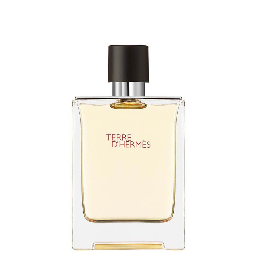 Terre D'Hermès Eau de Toilette