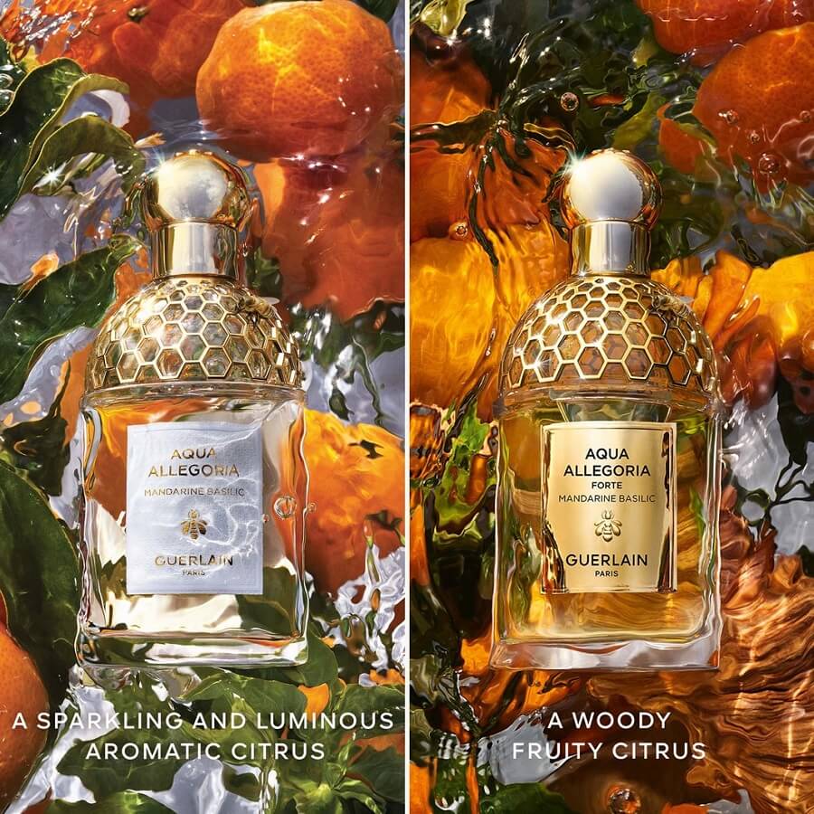 Aqua Allegoria Forte Mandarine Basilic Eau de Parfum
