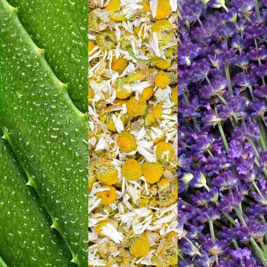 Aloe, Chamomile And Lavender Face Spray