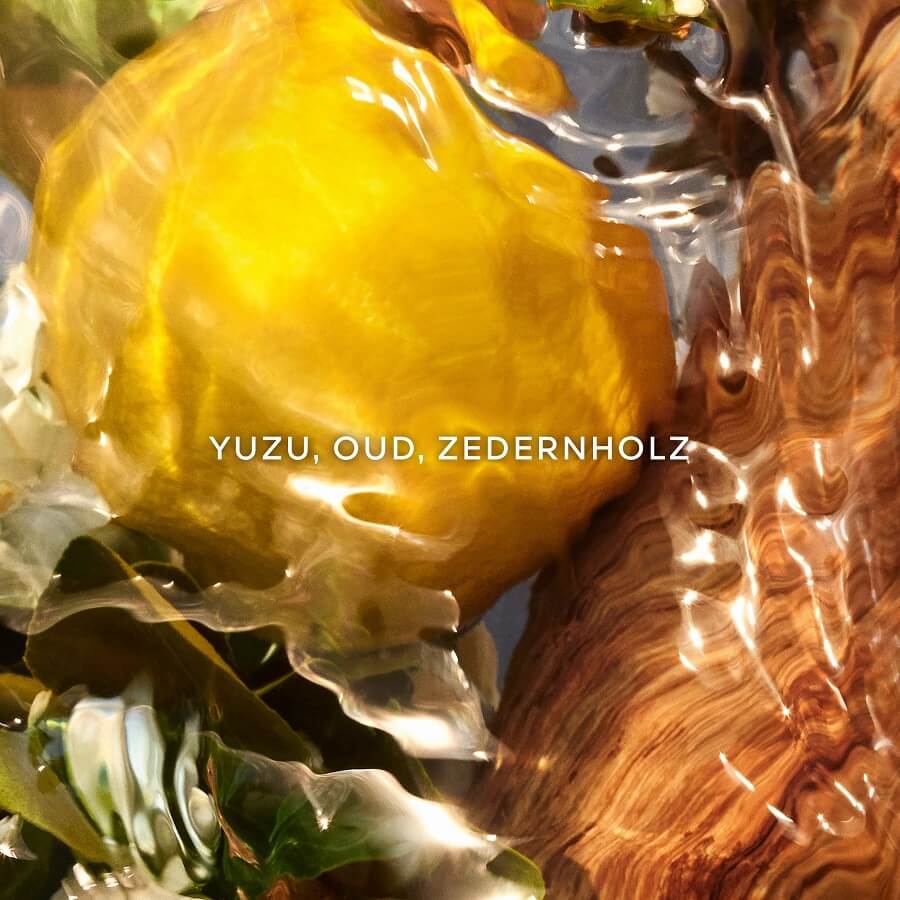 Aqua Allegoria Woody Oud Yuzu Forte Eau de Parfum