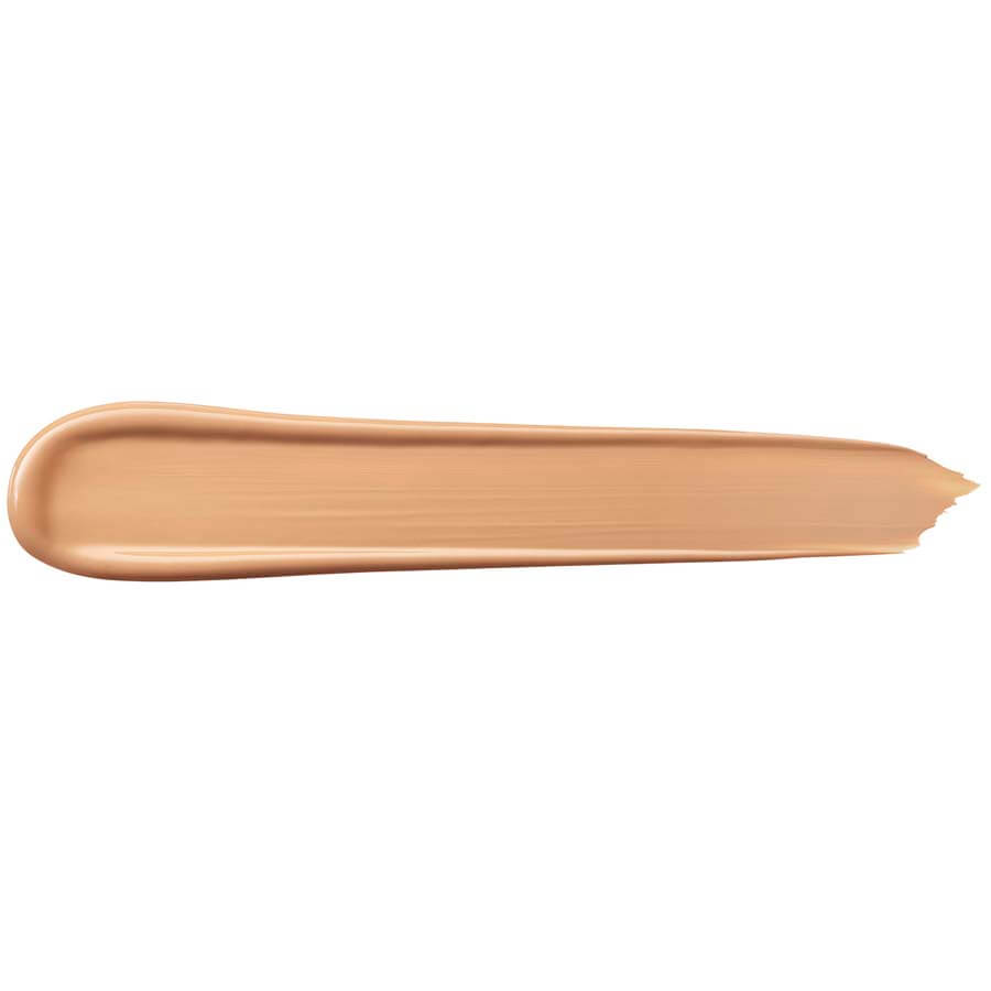 Teint Idole Ultra Wear All Over Concealer
