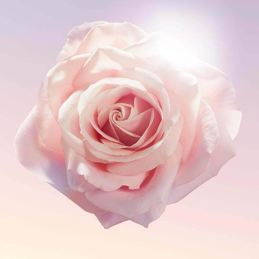 Idôle Eau de Parfum