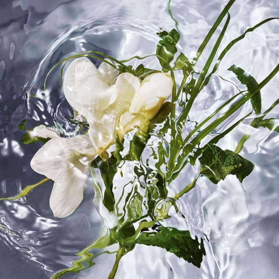 Aqua Allegoria Herba Fresca Refill Eau de Toilette