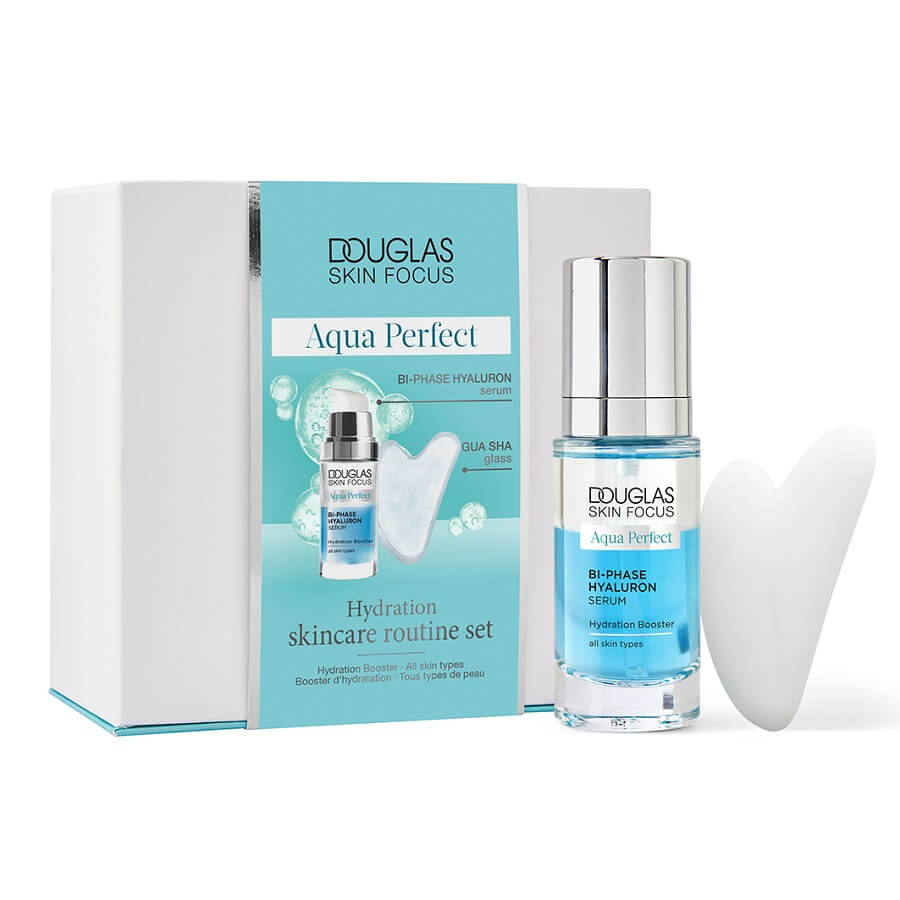 Skin Focus Aqua Perfect Skin Routine Set