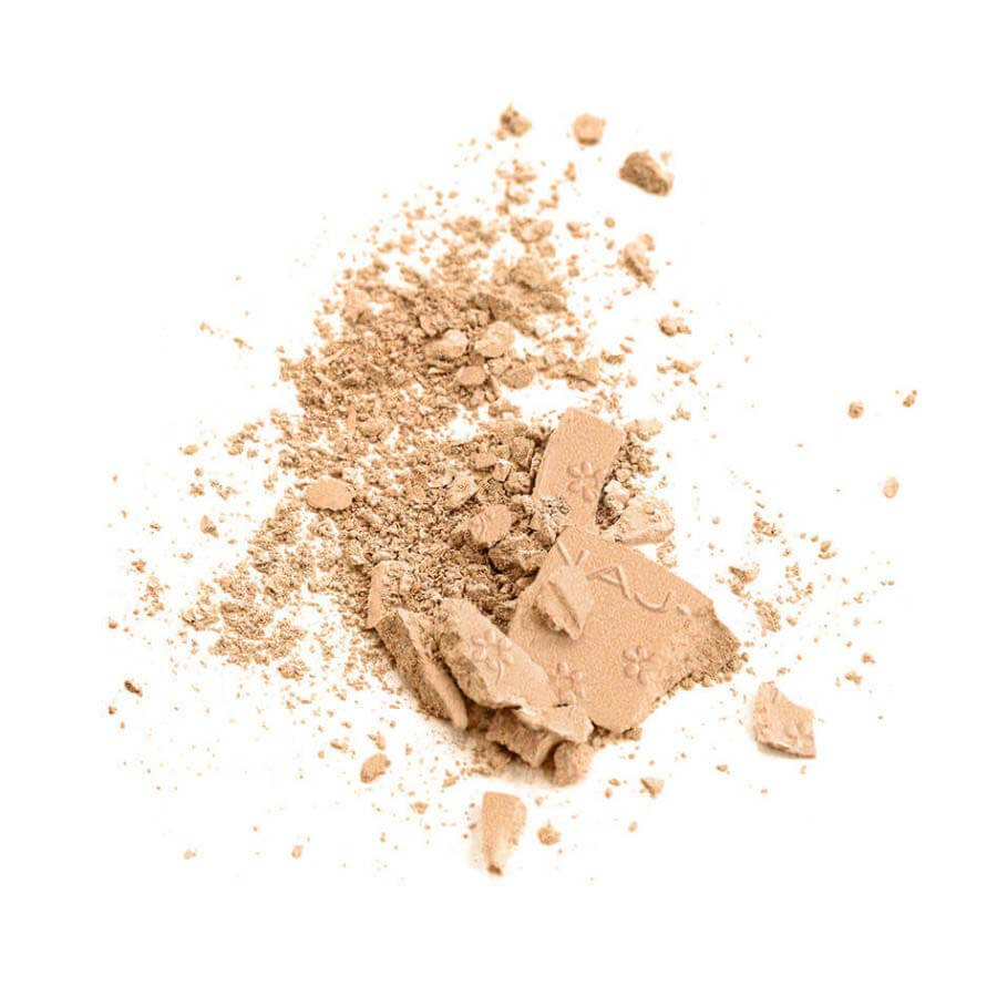 Silk Feel Wet & Dry Powder Foundation