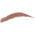 Too Faced -  - Soft Brown