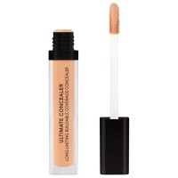 Douglas Collection Ultimate Concealer
