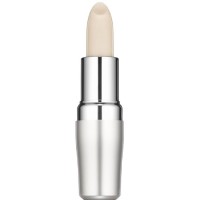 Shiseido Protective Lip Condition Stick