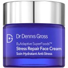 Dr Dennis Gross B3 Adaptive SuperFoods™ Stress Repair Face Cream