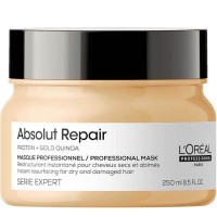 L'Oreal Professionnel Paris Professional Mask Instant Resurfacing For Dry And Damaged Hair