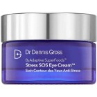 Dr Dennis Gross B3 Adaptive SuperFoods™ Stress SOS Eye Cream™