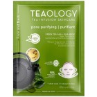 Teaology Green Tea AHA Mask